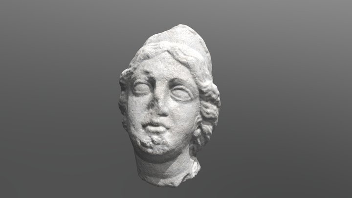 Diana's marble head 3D Model