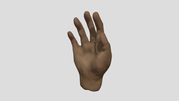 Hand sculpt 3D Model