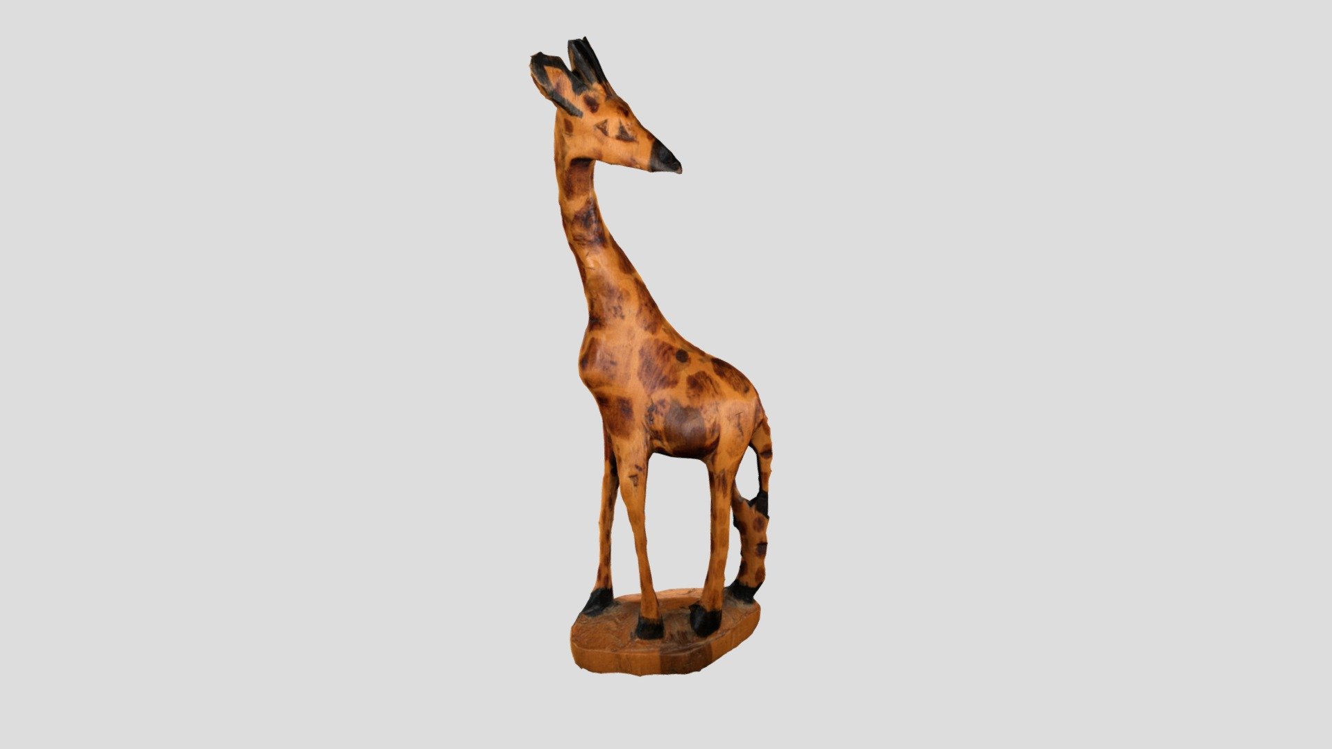 ZEPHYR_GIRAFFE_PROCESSED