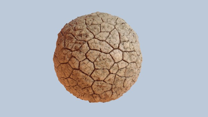 Dry Mud (PBR Material) 3D Model