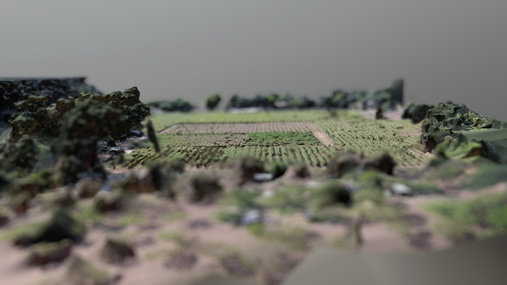 Calistoga Test_01 3D Model