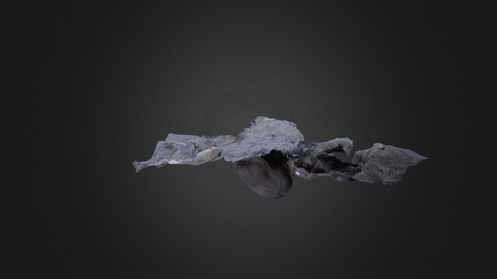 Fotogrametria alero 3D Model