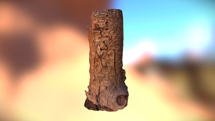 Old log 3D Model