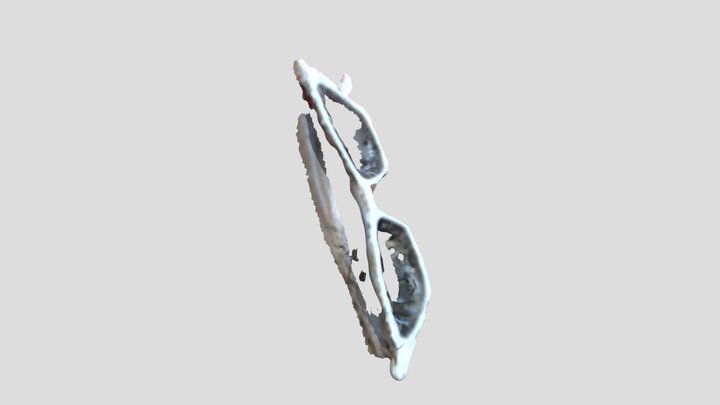 Glasses 3D Model