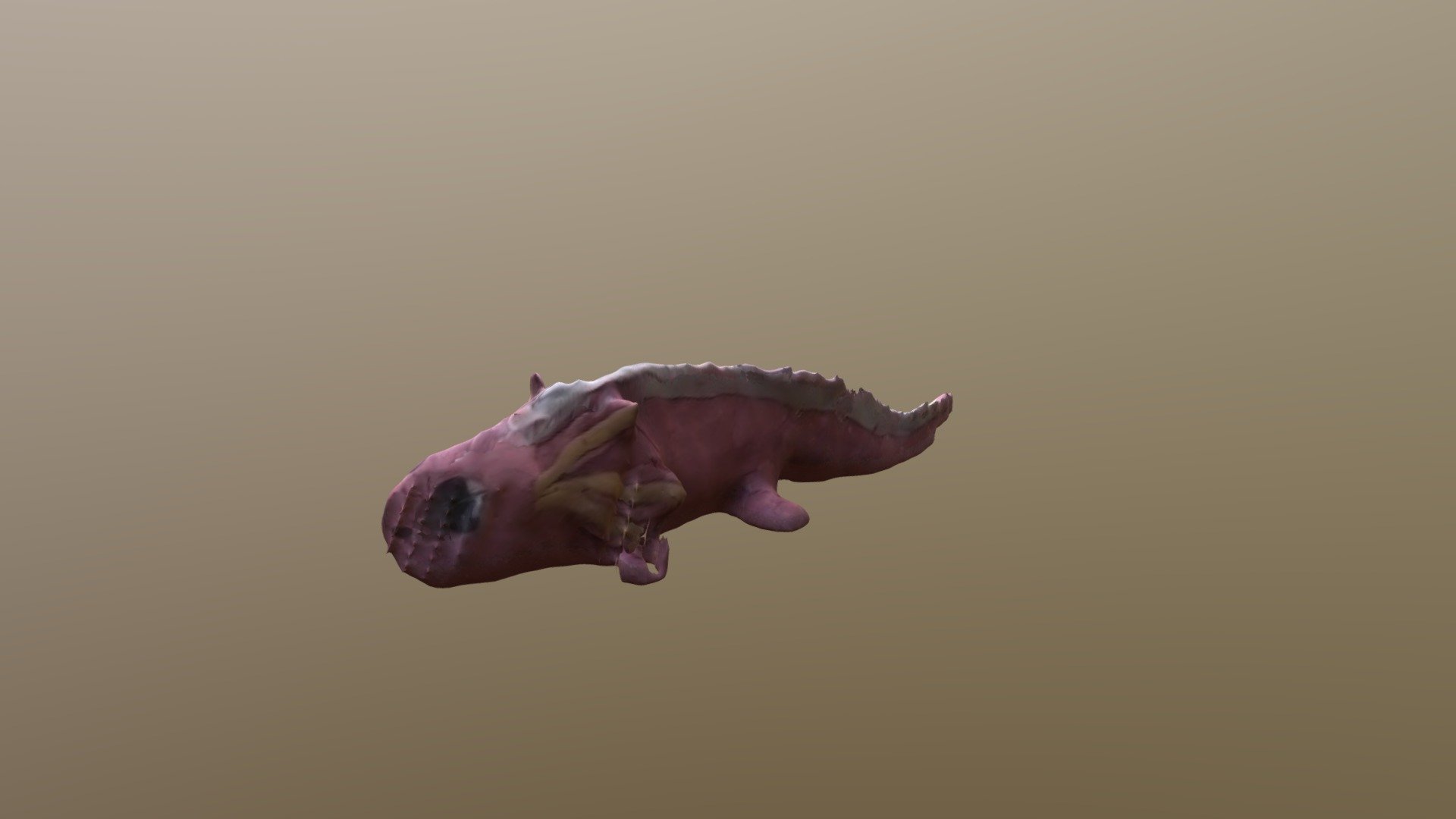 Axolotl mexický