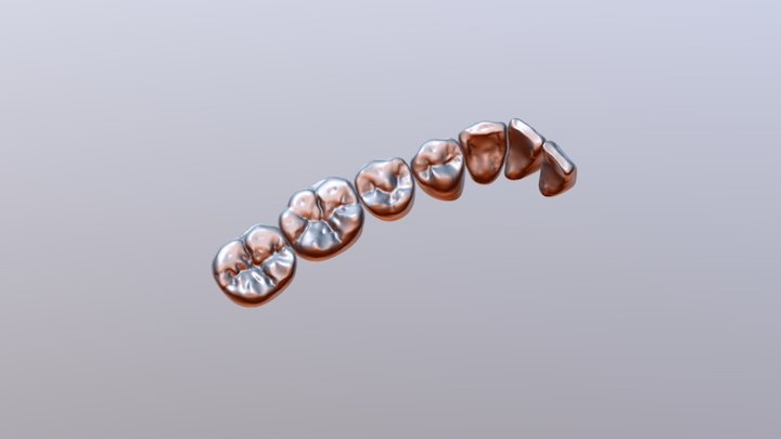 Lower Teeth 3D Model