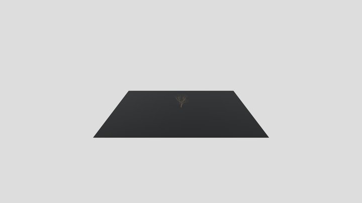 Японское дерево 3D Model