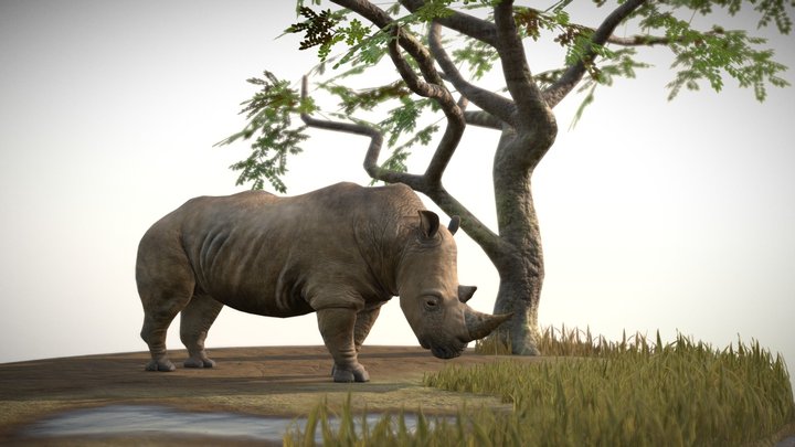 Rhino 3D Model