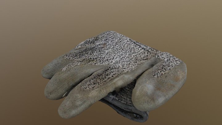 a garden glove 3D Model