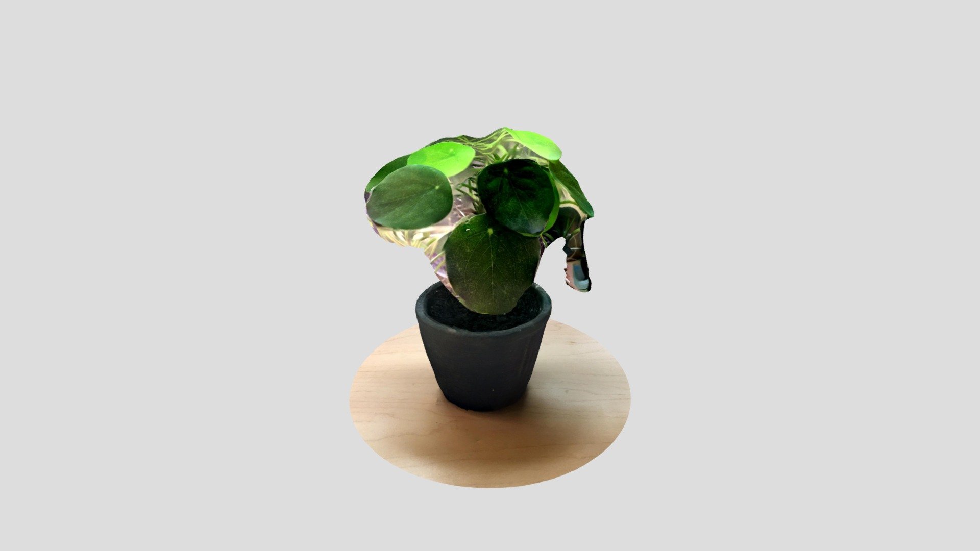 Gwen_Plant_Object