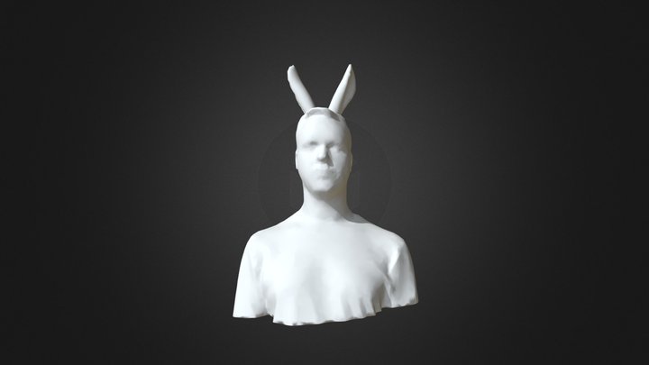 Smooth + Bunny Ears 3D Model