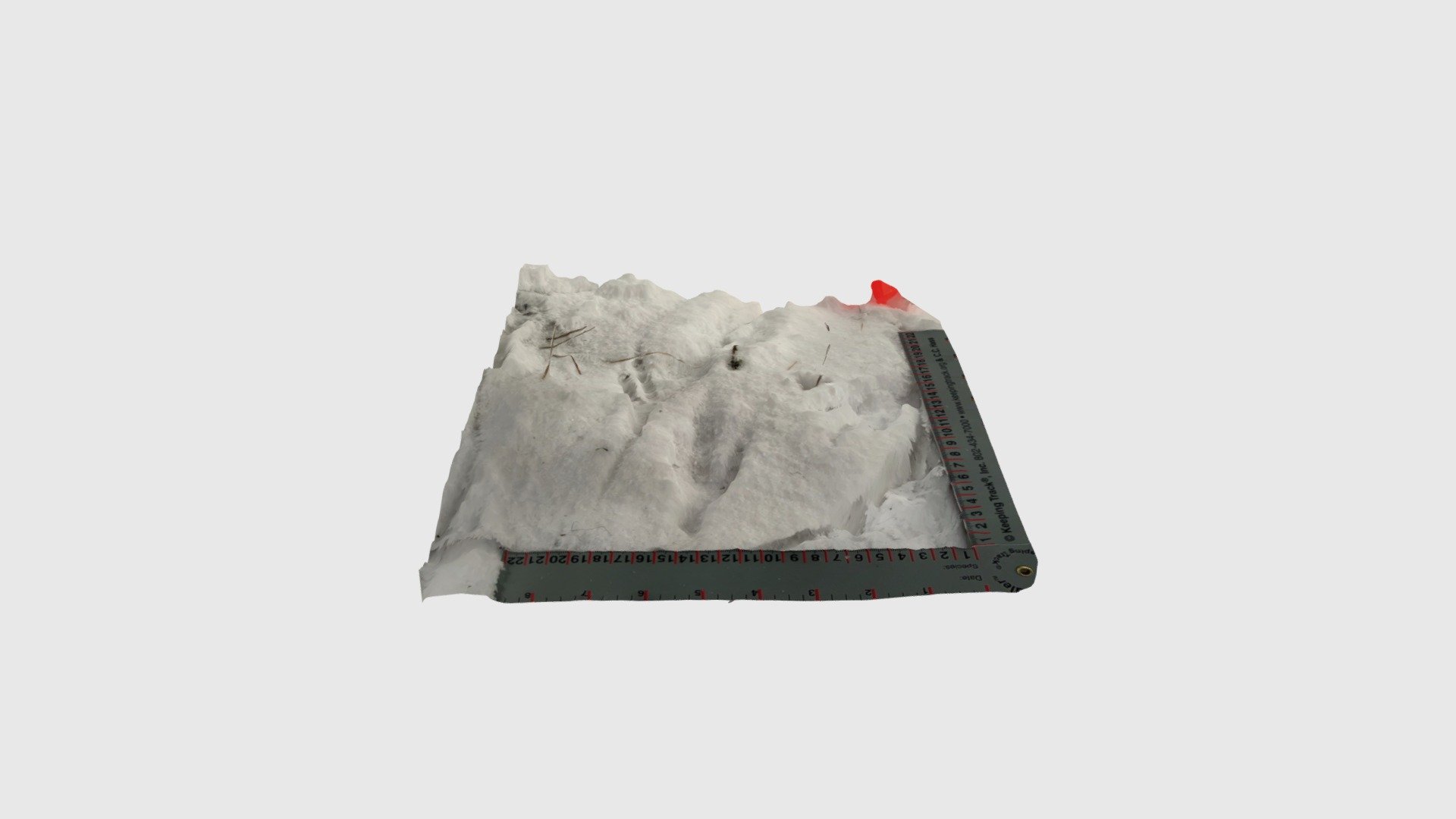 Untitled 3 - Download Free 3D model by BacWoods Lidar (@Jonbatch ...