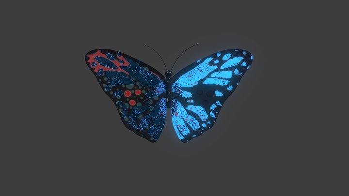 Butterfly 3D Model