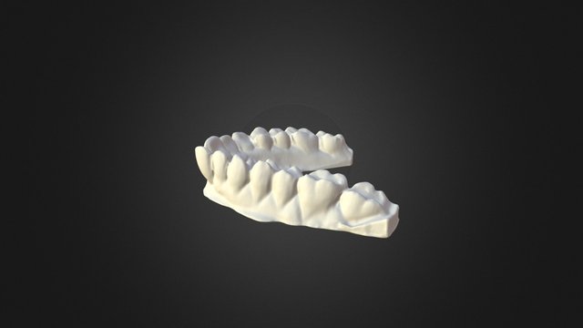 Dental prop Scan 3D Model