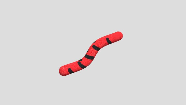 червь 3D Model