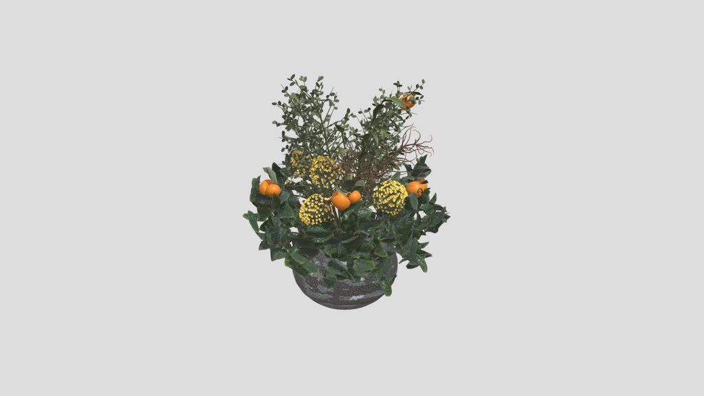 Orange Bloom Decorative Plant