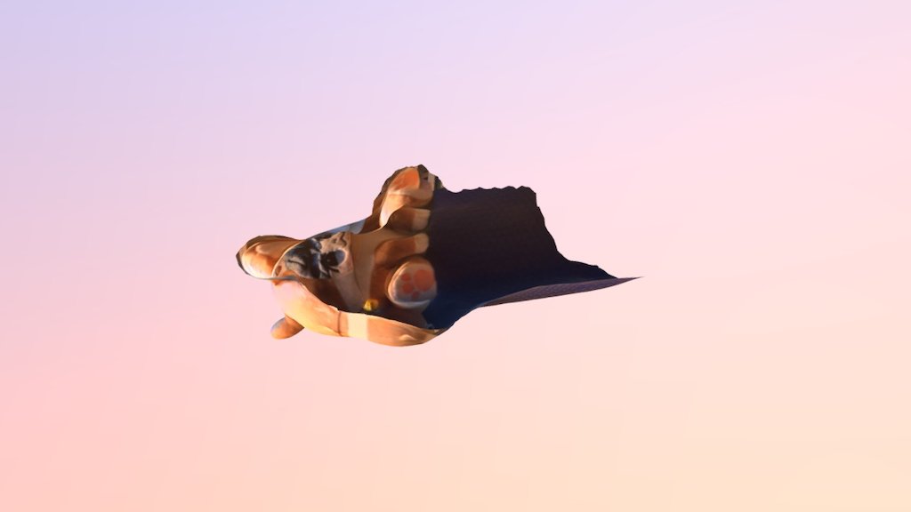 Dolbee - 3D model by mongsil [83202c8] - Sketchfab