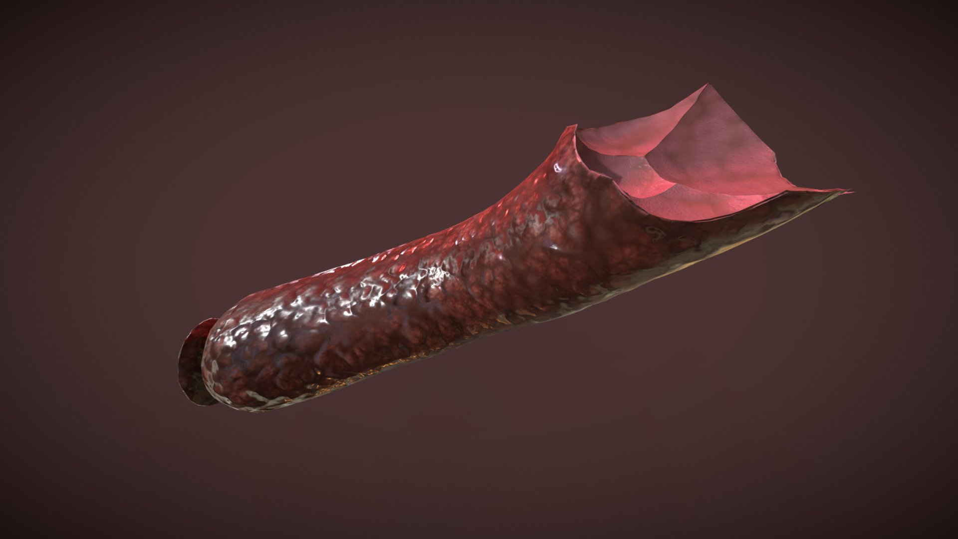 Sausage