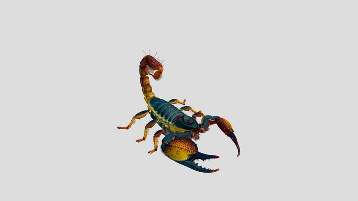 Rainbow Scorpion 3D Model Free – Modello 3D gratuito STL