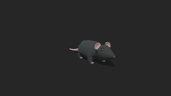 Low Poly Rat 3D Model