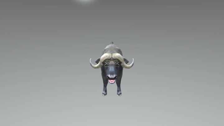 Buffalo High Poly 3D Model