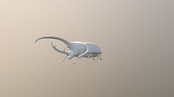Escarabajo Hercules 3D Model