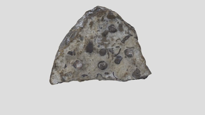 Sample16 3D Model