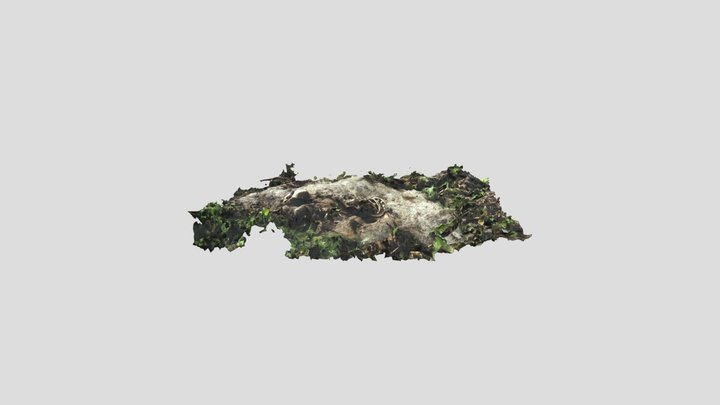 Blaireau Blenien 3D Model