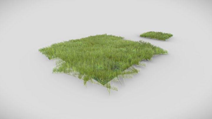 Grass - please like model if you download it 3D Model