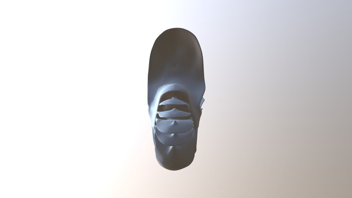 seashell 3D Model