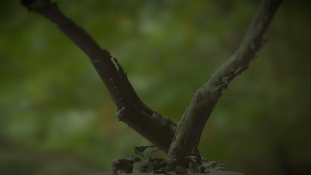 Leaning Tree from Kasetsart University
