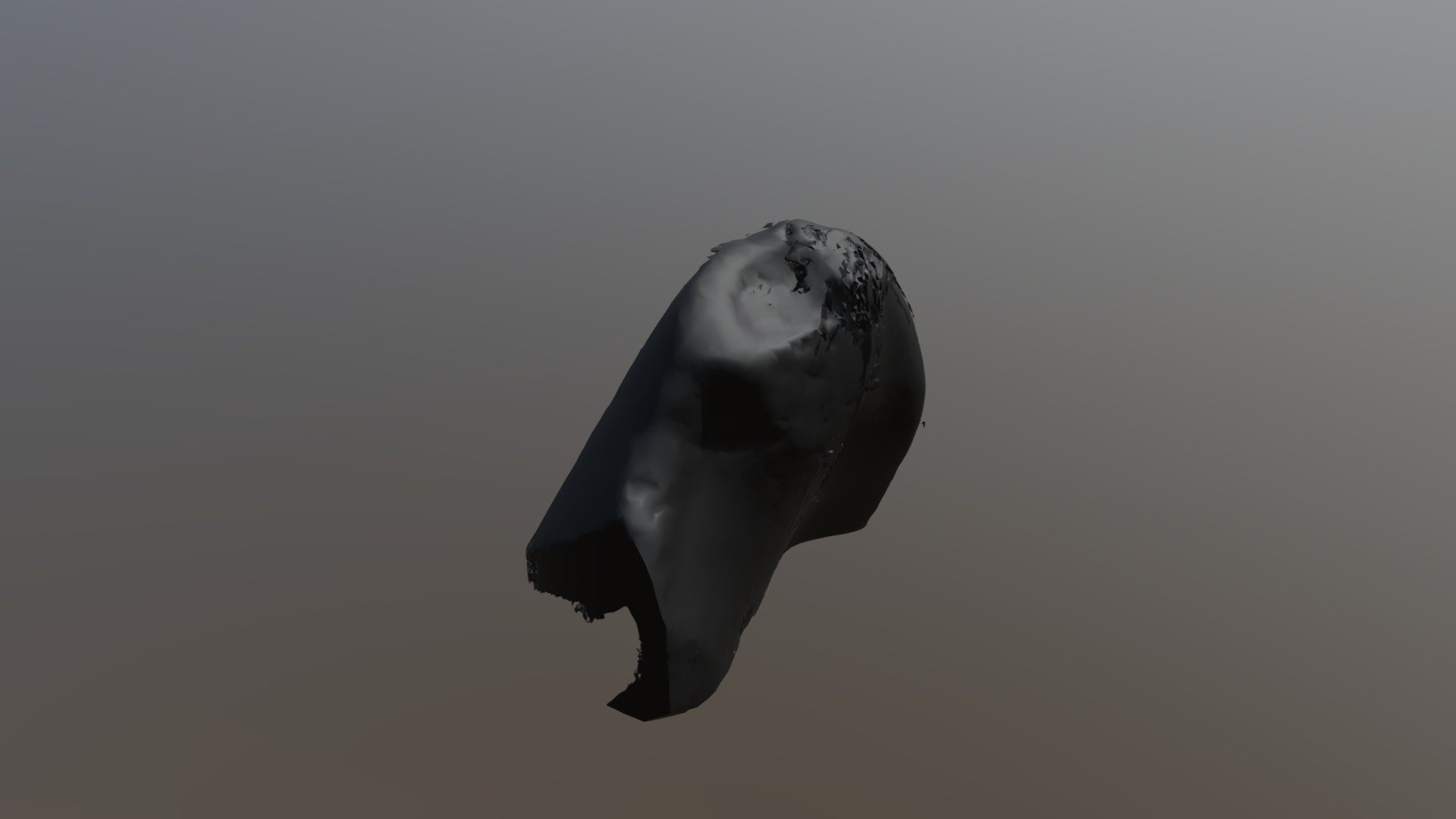 Barred filefish tooth scan