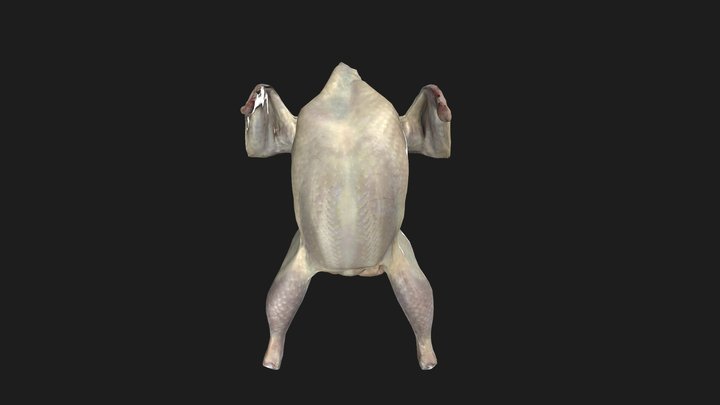 Chicken Raw photogrammetry 3D Model