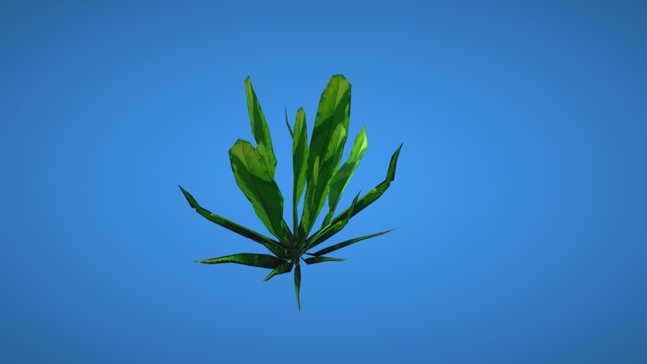 Java fern 3D Model