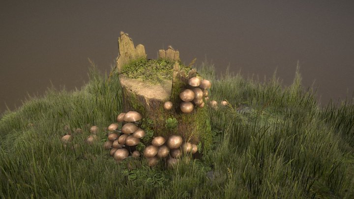 Tree Trunk 3D Model
