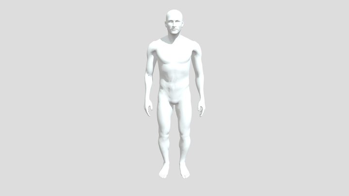 CCO_ Male_base_mesh_standing 3D Model