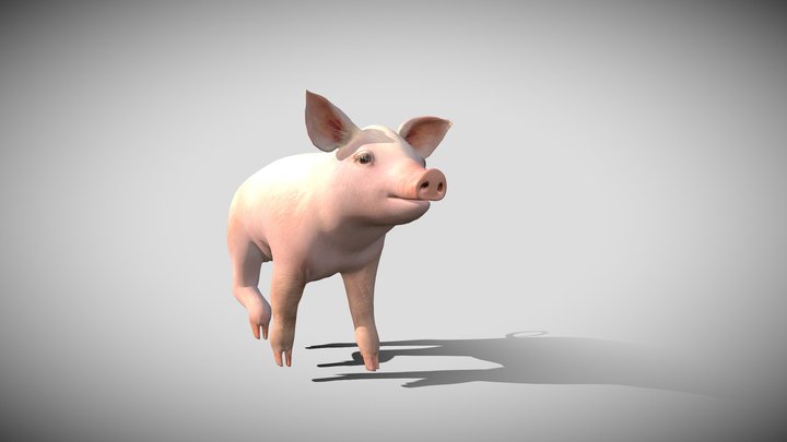 Piglet 3D Model
