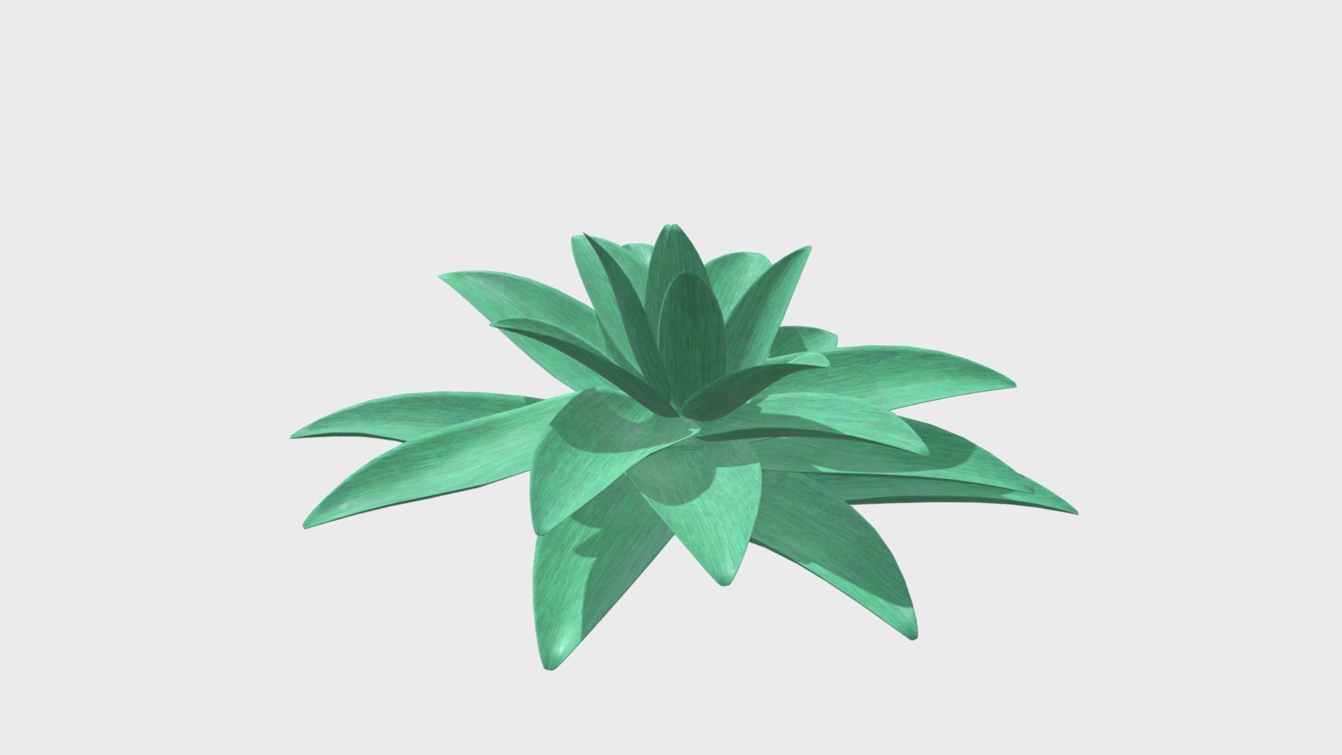 3D model Stylized succulent plant - This is a 3D model of the Stylized succulent plant. The 3D model is about a green plant with leaves.