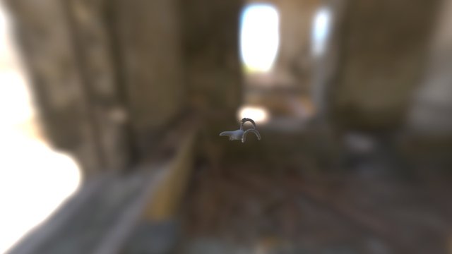 Bull's Head_Readymade Test 3D Model