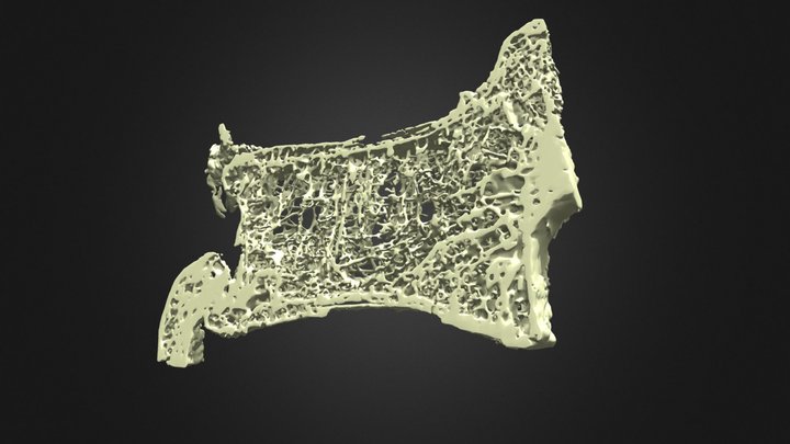 57 - F86 3D Model