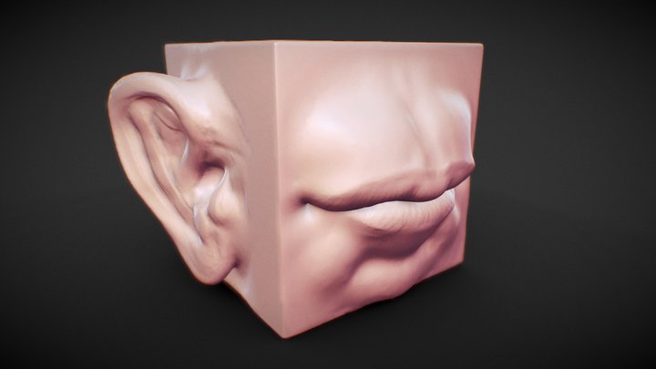 Cube Studies 3D Model