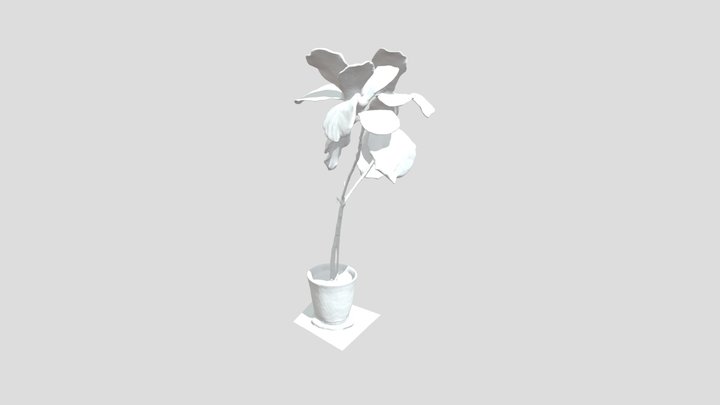 tree-nerf 3D Model