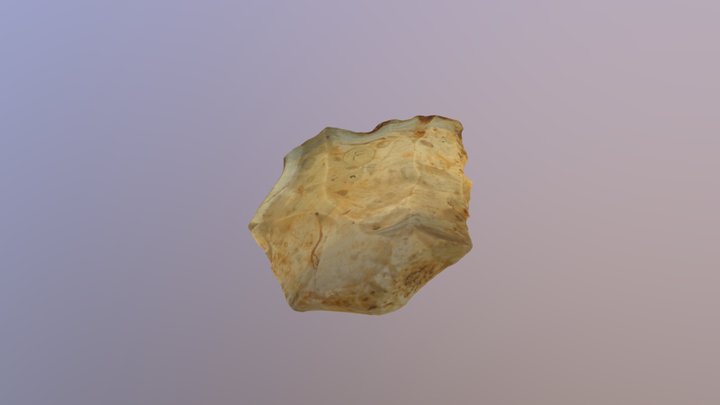 Creffield Road Levallois Core 3D Model