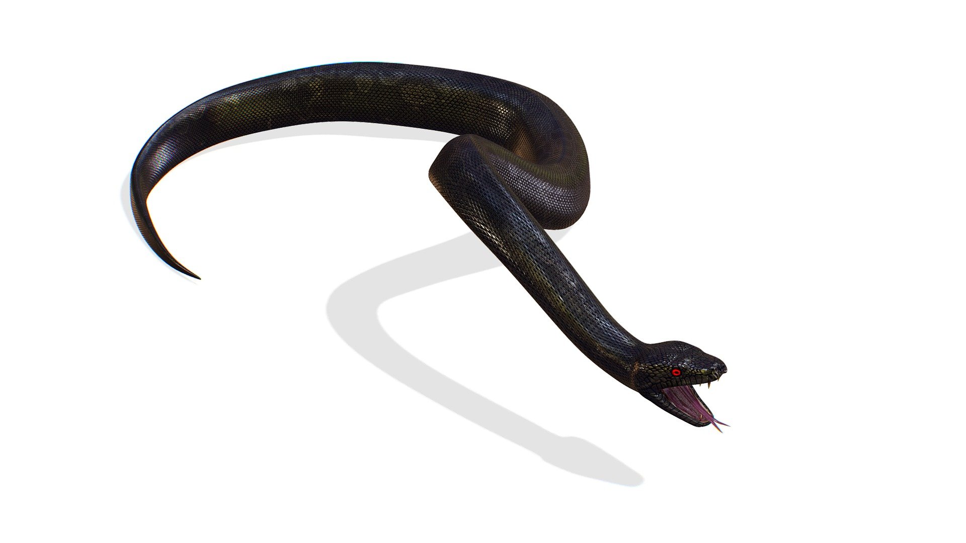 Snake Python 3d Model