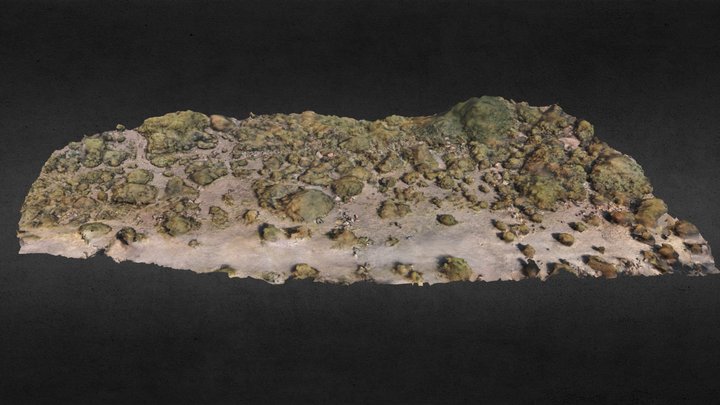 Puritama-Kesar-106 3D Model