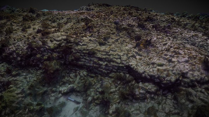 Dry Tortugas "Brick Whale" 3D Model