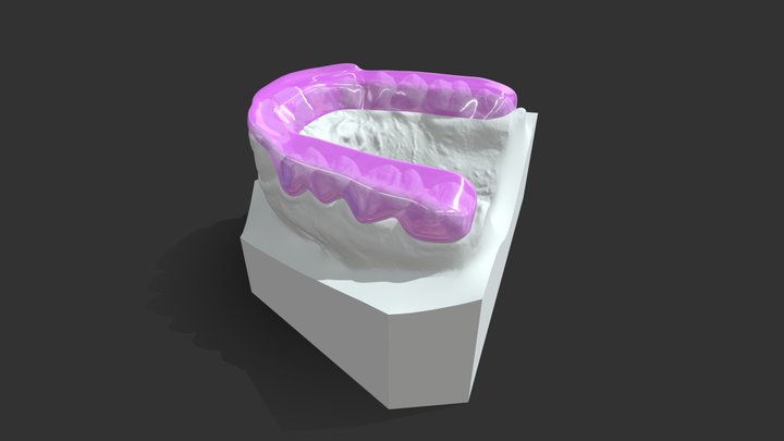 Bite Guard Superior 3D Model
