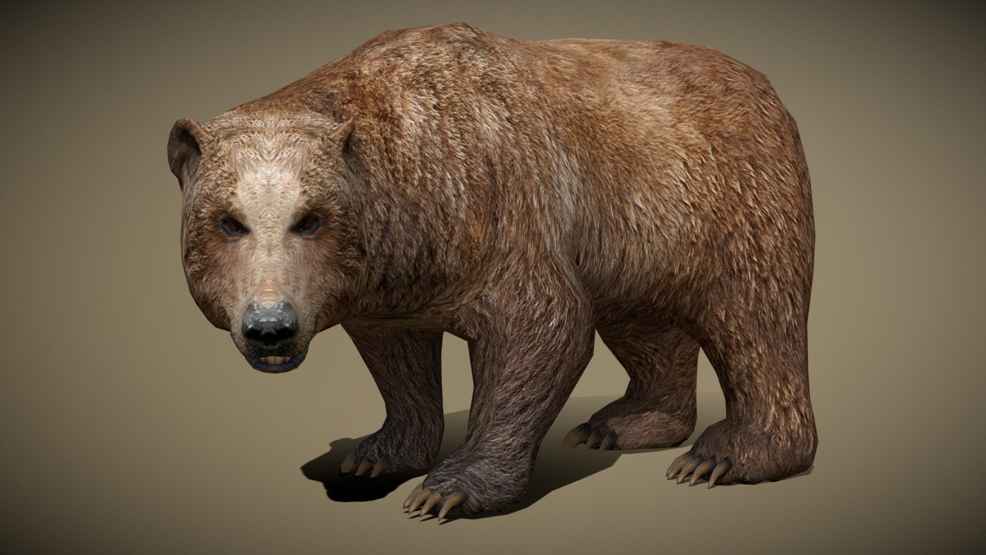 3DRT - wild animals - bear - Buy Royalty Free 3D model by   (@) [83543ea]