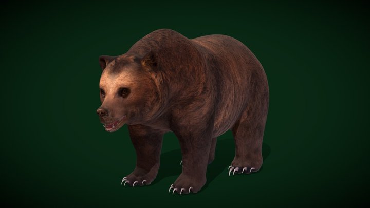 Grizzly Brown Bear (GameReady) 3D Model