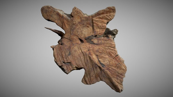 Plum wood slab scan 3D Model